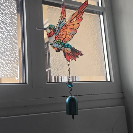 Kolibri *